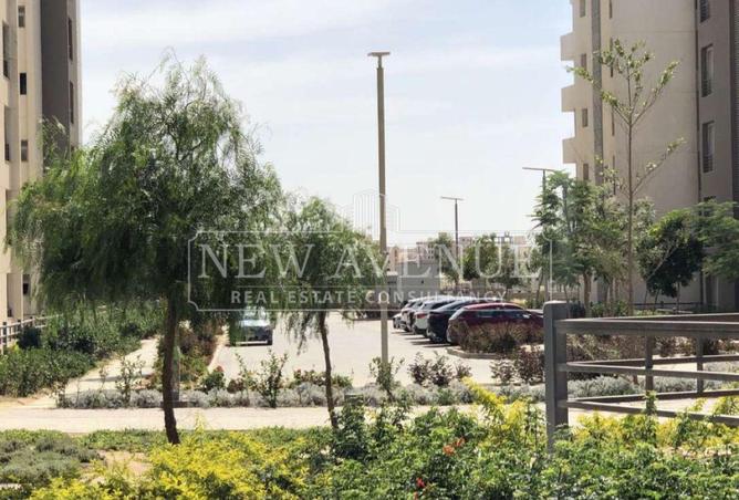 81310381 - صورة العقار 3