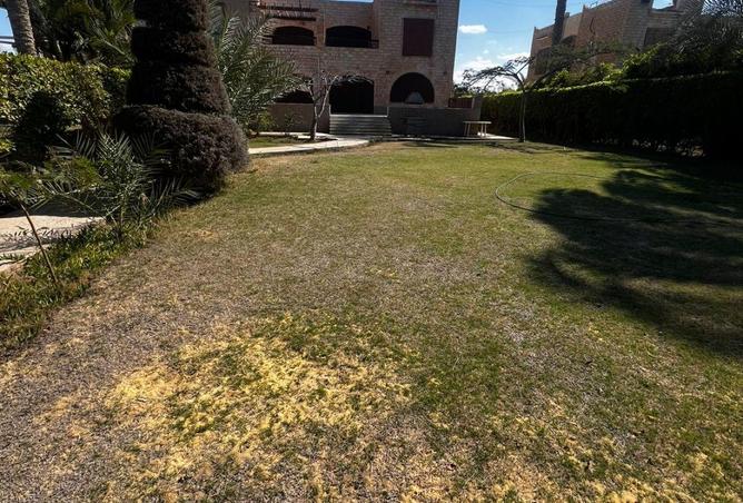 58735757 - Property Image 3