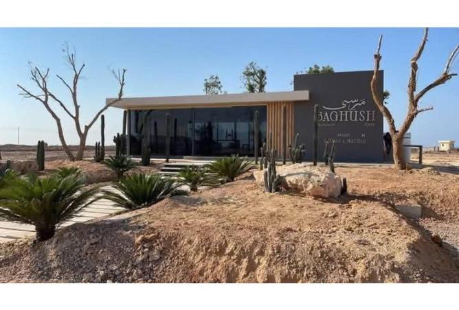 59501152 - صورة العقار 2