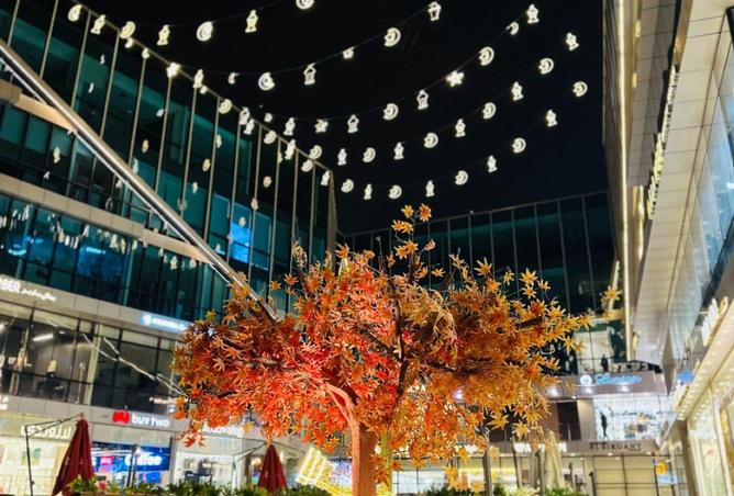 63397351 - Property Image 2