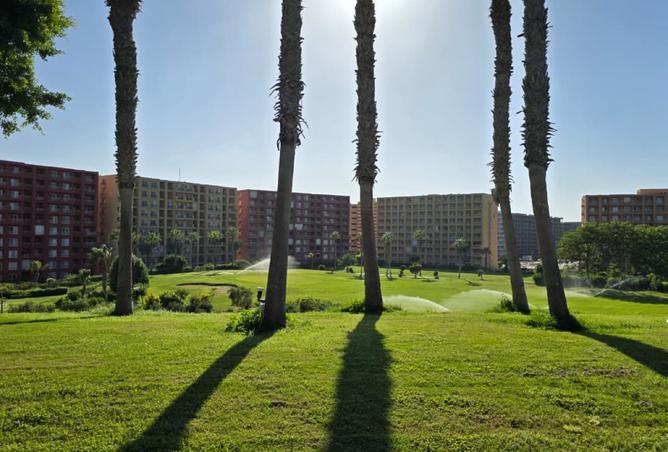 8469793 - صورة العقار 3