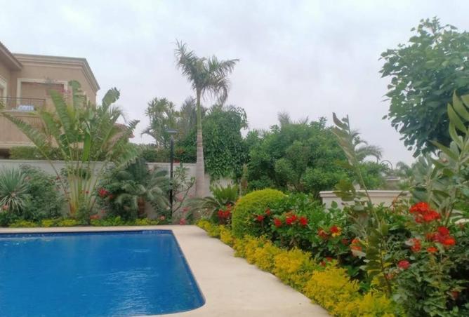 52445281 - Property Image 3