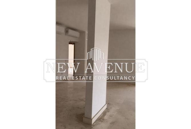 58247127 - Property Image 3