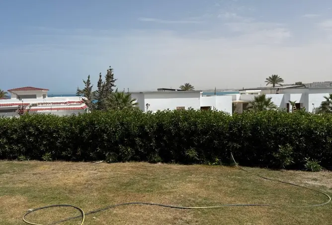 113522859 - Property Image 2