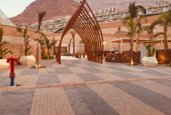 91008419 - Property Image 3