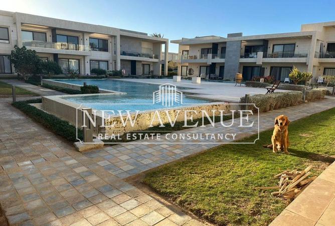 8662491 - Property Image 3