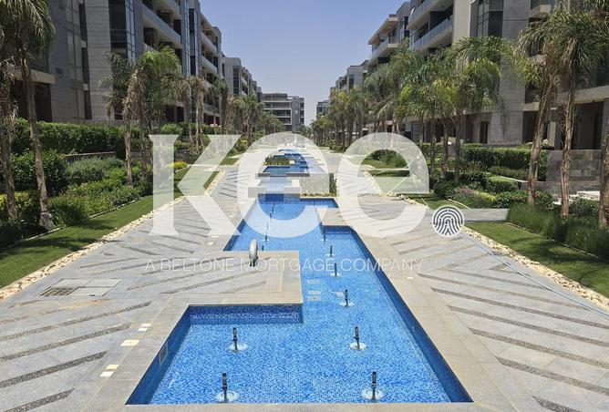 69561506 - Property Image 3