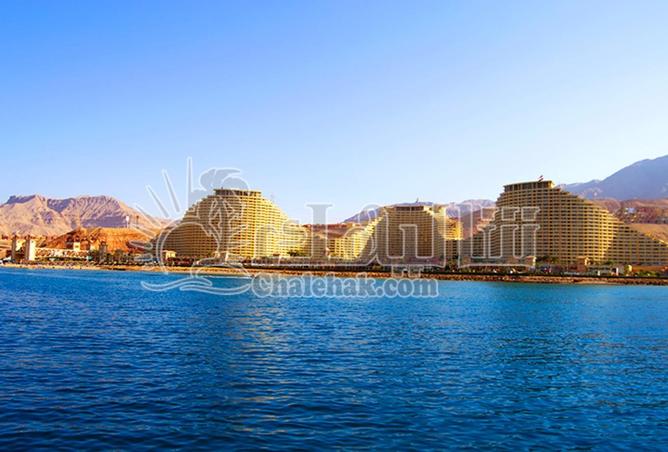 58987143 - صورة العقار 2