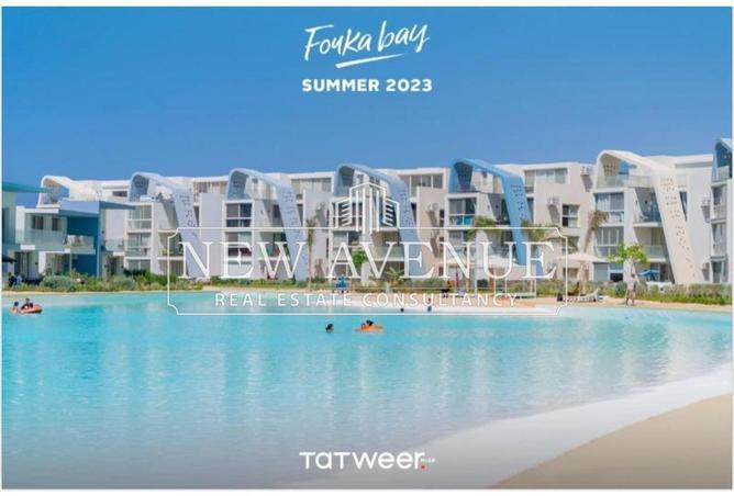 63393059 - Property Image 2