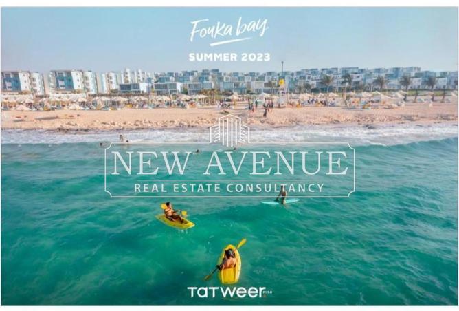 63393059 - Property Image 3