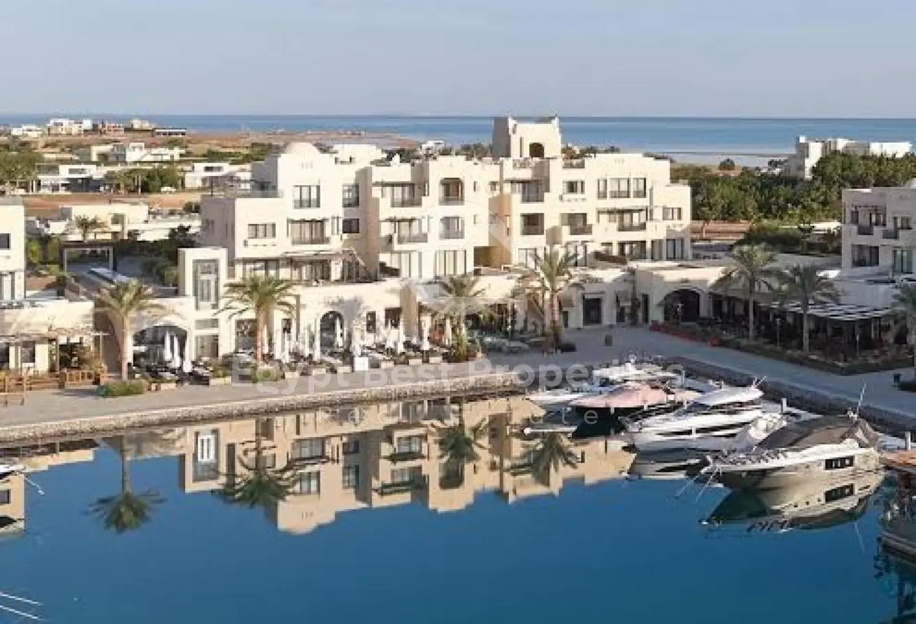113543475 - الصورة الرئيسية للعقار