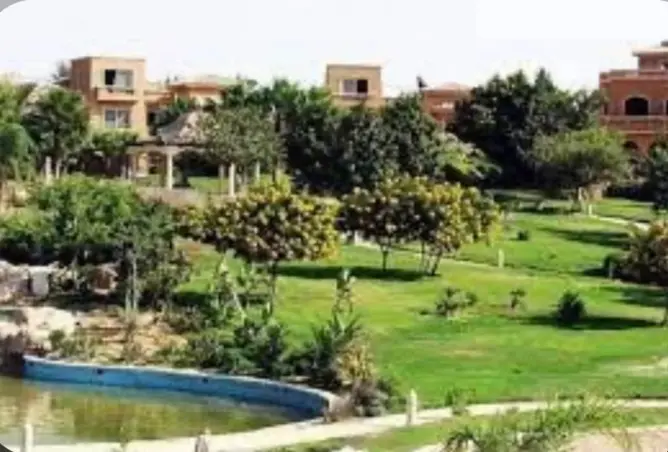 113536222 - Property Image 3