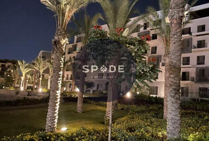 55498516 - صورة العقار 2