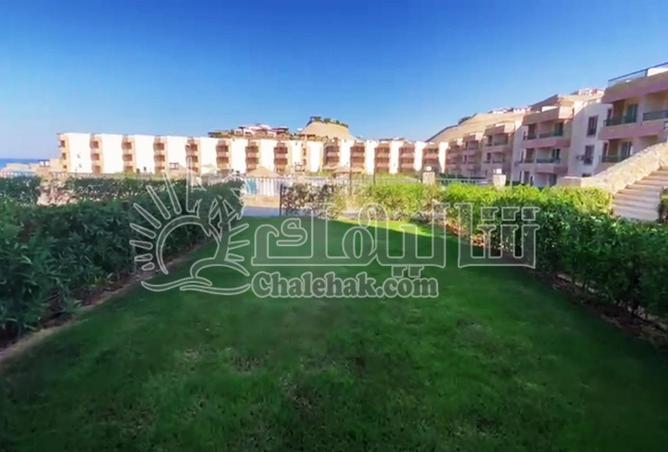 8704208 - صورة العقار 2