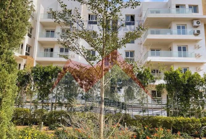 8686416 - صورة العقار 2