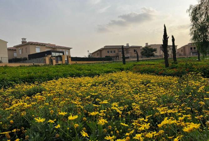 53977925 - صورة العقار 3