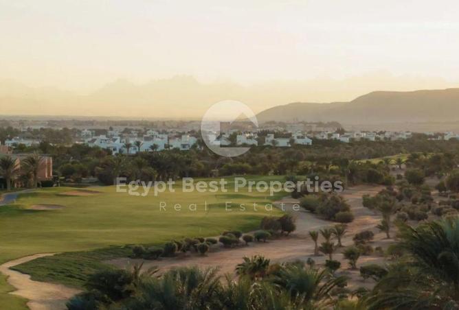 56415818 - Property Image 3