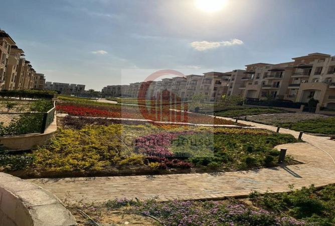 91861891 - Property Image 2