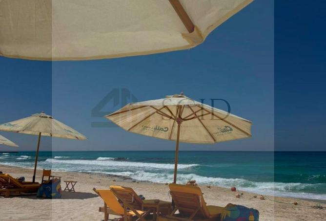 96867348 - صورة العقار 2