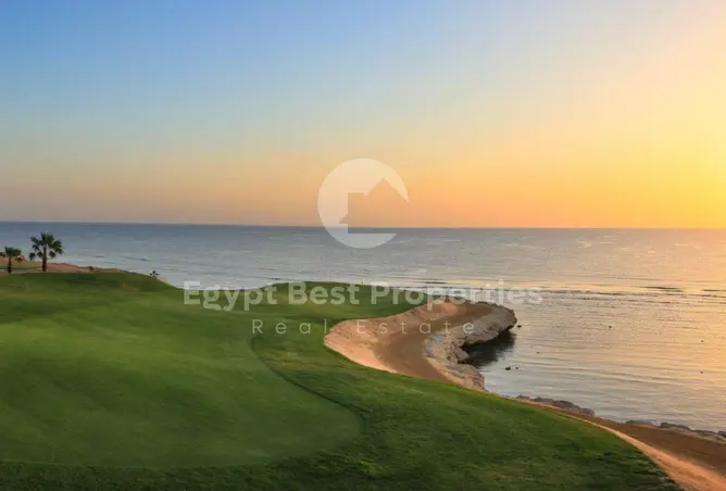 113826148 - Property Image 2