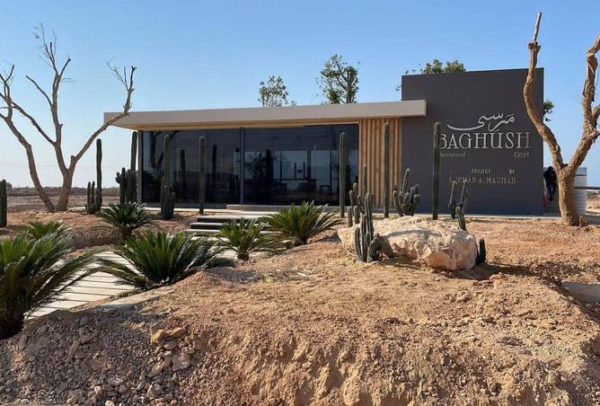 65656155 - Property Image 2