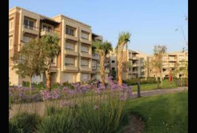 70105785 - Property Image 2