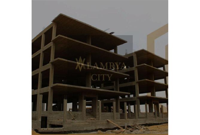 53980047 - Property Image 3