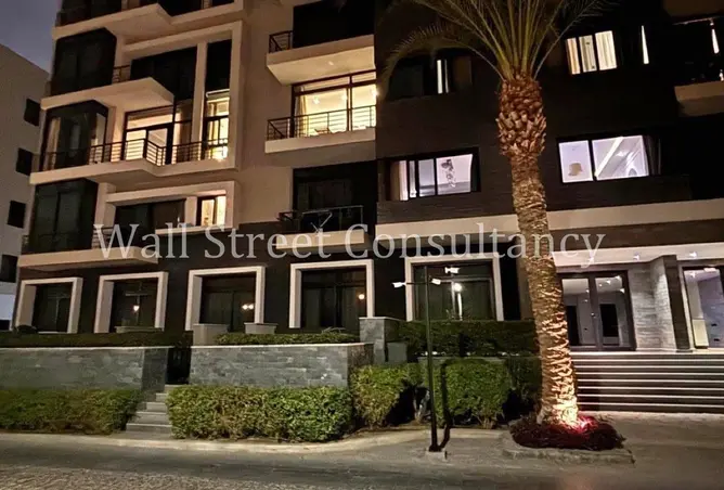 116753343 - Property Image 3