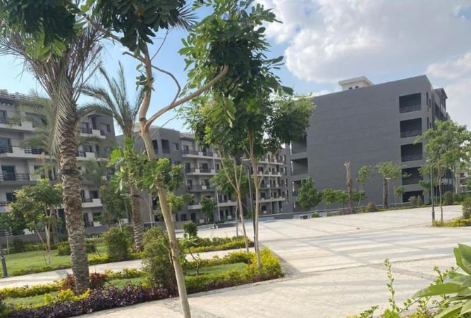 63139797 - Property Image 3