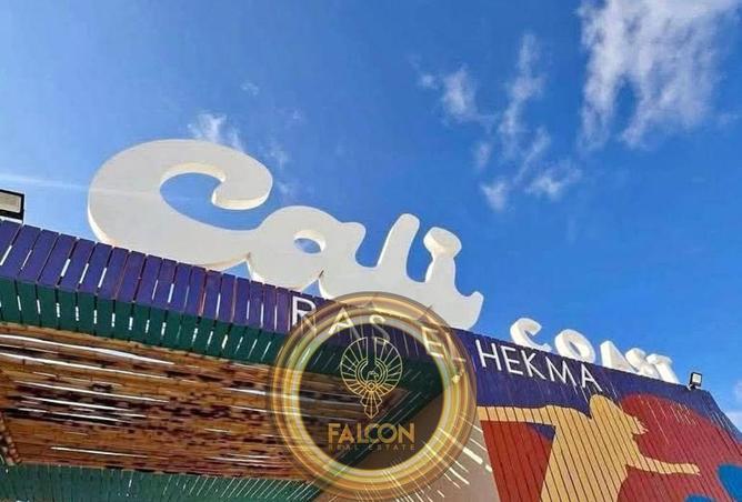 67731682 - صورة العقار 3