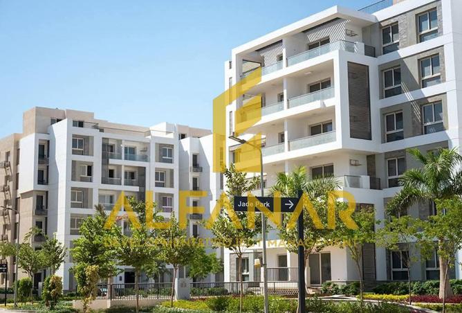 8520899 - Property Image 3