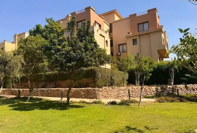 121146447 - Property Image 3