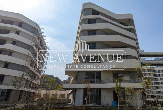 8676759 - Property Image 3