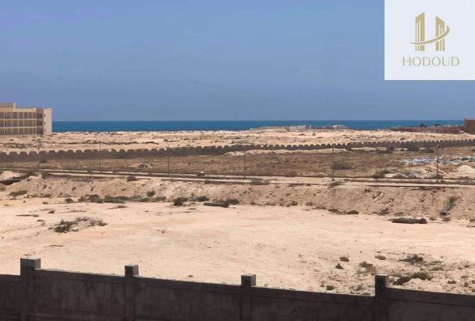 65158285 - صورة العقار 2