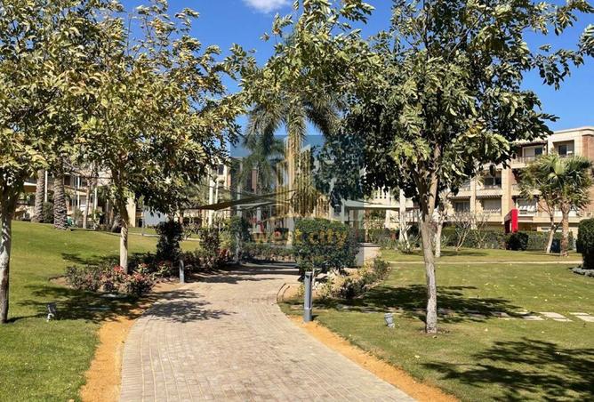 52463727 - Property Image 2