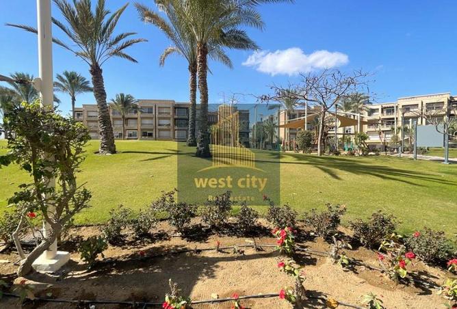 52463727 - Property Main Image