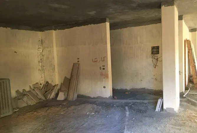 101481799 - Property Image 3