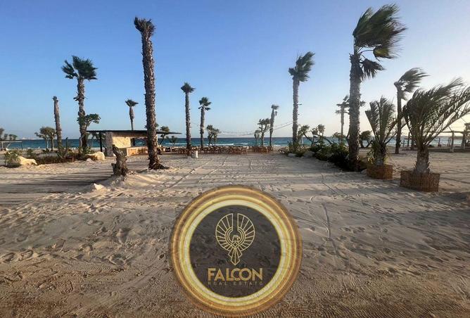 67471746 - Property Image 3