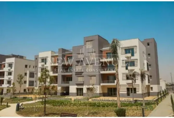 111603269 - Property Image 3