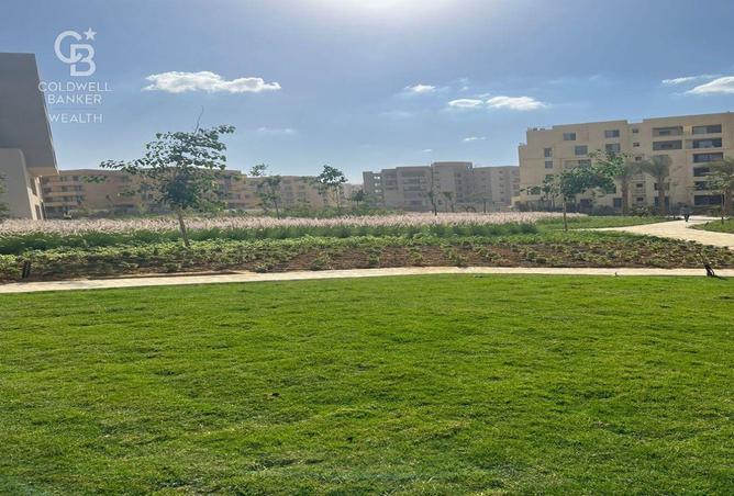 53466902 - صورة العقار 3