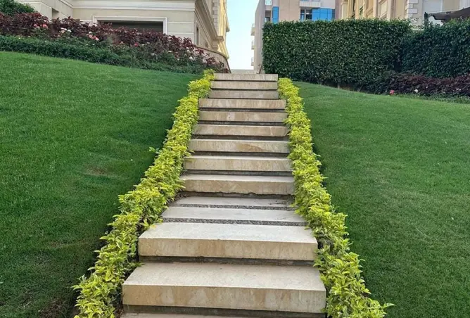 117023223 - صورة العقار 3