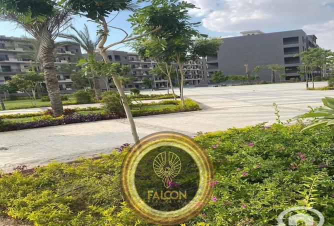 8705594 - صورة العقار 3