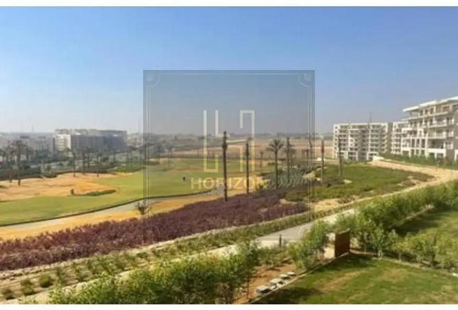 53980423 - Property Image 3