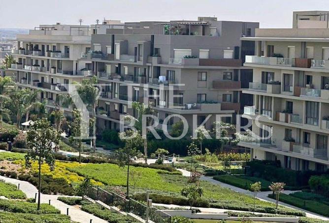 8597217 - صورة العقار 3