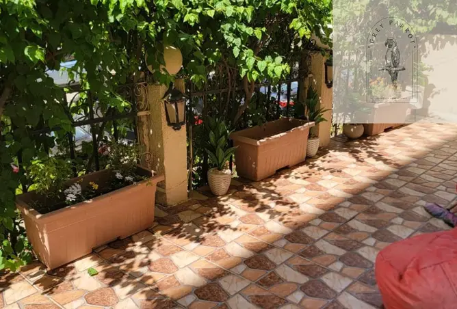 76240121 - صورة العقار 2