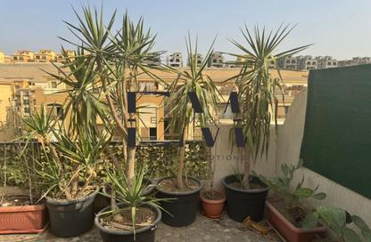 Penthouse - 3 - 3 for sale in Stone Residence - 5th Settlement Compounds - The 5th Settlement - New Cairo City - Cairo