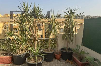 Penthouse - 3 - 3 for sale in Stone Residence - 5th Settlement Compounds - The 5th Settlement - New Cairo City - Cairo Penthouse - 3 - 3 for sale in Stone Residence - 5th Settlement Compounds - The 5th Settlement - New Cairo City - Cairo