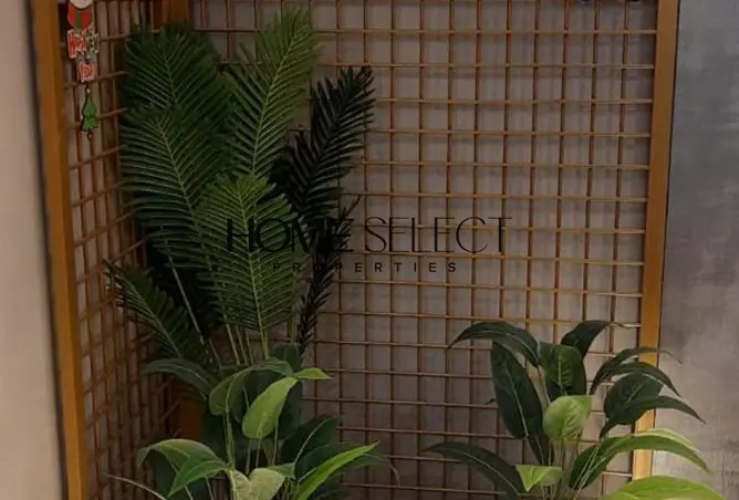 85592297 - Property Image 3