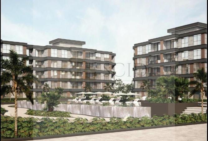 57232690 - Property Image 3