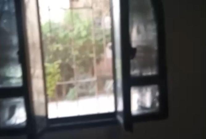 8689573 - صورة العقار 2